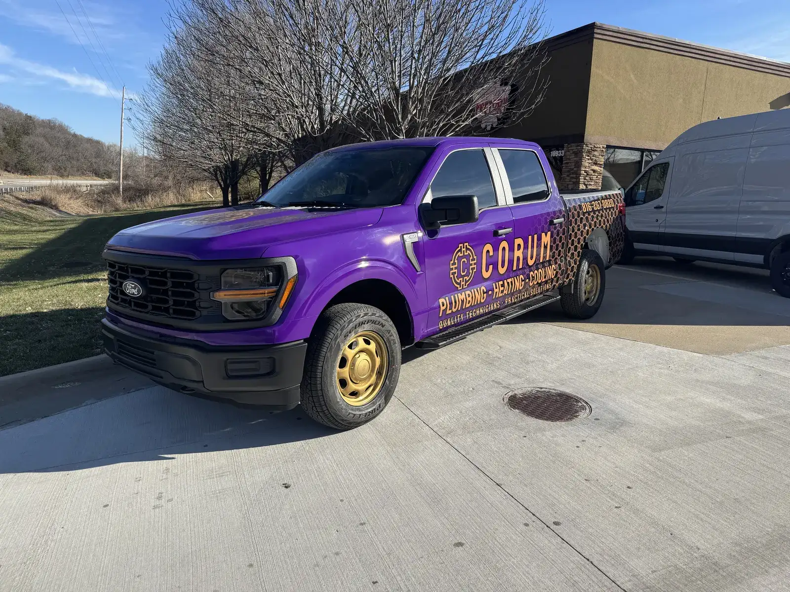 Purple-to-honeycomb fade — Ford F-150