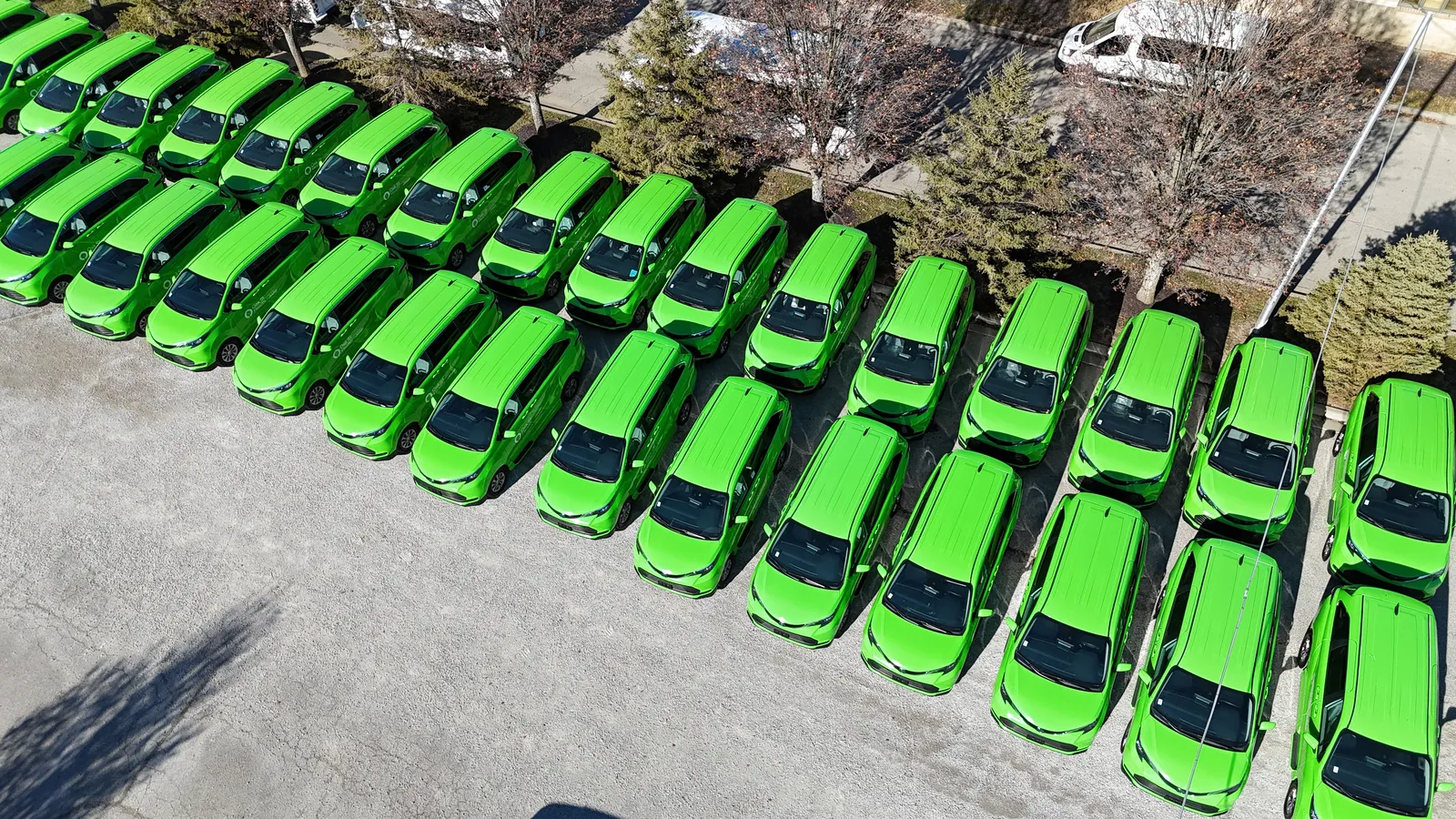 One color, forty cars — fleet day — Fleet Program